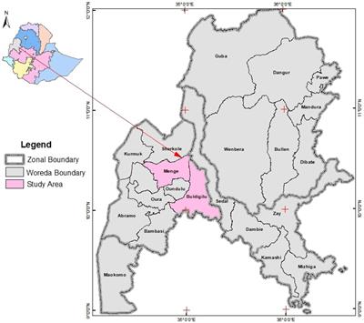 Impacts of mining projects on food security of households in Ethiopia: empirical evidence from Benishangul-Gumuz Region